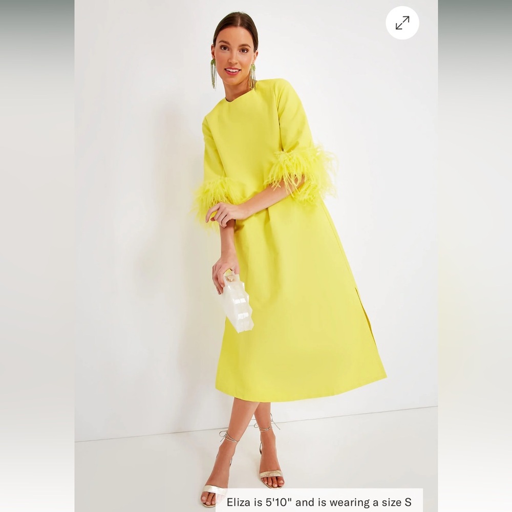 Tuckernuck | NEW Citron Feather Jamie Formal Midi Dress Size S